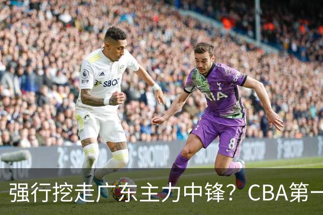 强行挖走广东主力中锋？CBA第一黑马重拳出击，没朱芳雨真不行！